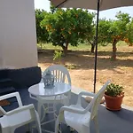 Joanna's House